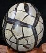 Septarian Dragon Egg Geode - Black Calcite Crystals #34701-3